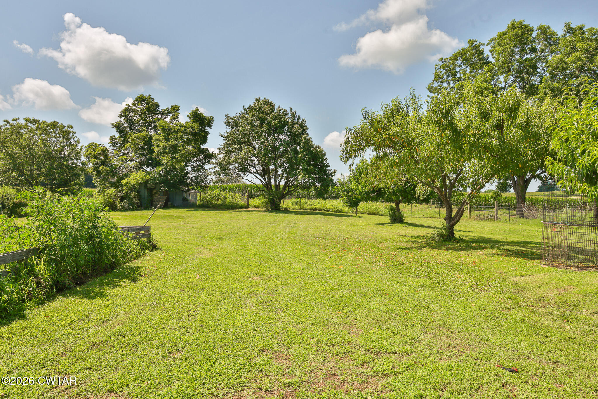 9139 New Home Road Martin, TN 38237 - Photo 39 of 46 FT8A0071