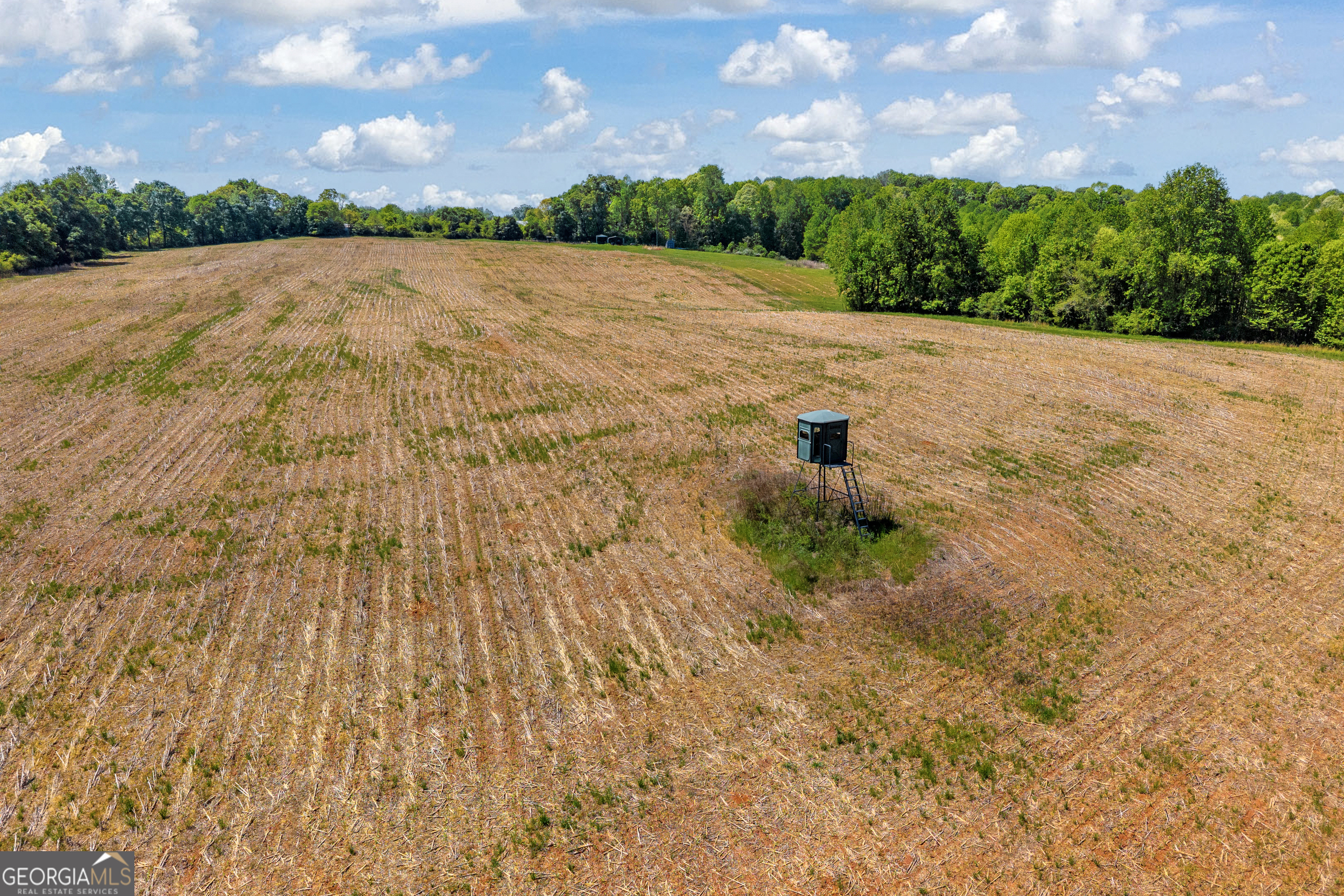 1224 Cedar Ridge Road Commerce, GA 30530 - Photo 35 of 92 a view of a lake