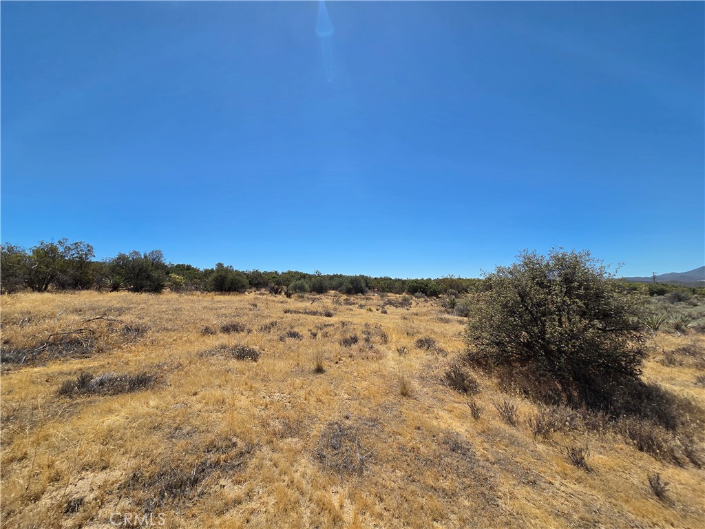 2 Terwilliger Road Anza, CA 92539 - Photo 6 of 7 Gallery Image 6