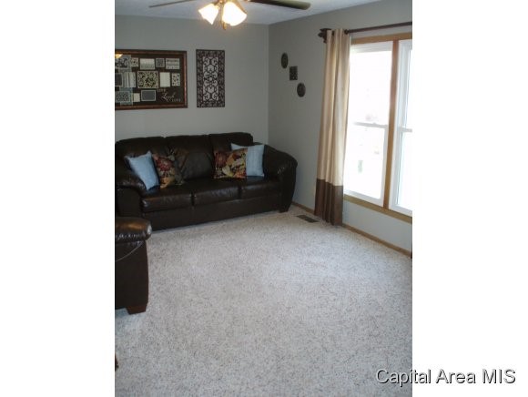 1104 Bolin Court Springfield, IL 62703 - Photo 8 of 20