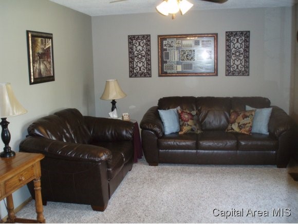1104 Bolin Court Springfield, IL 62703 - Photo 9 of 20