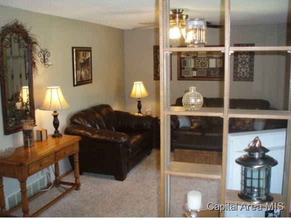 1104 Bolin Court Springfield, IL 62703 - Photo 10 of 20