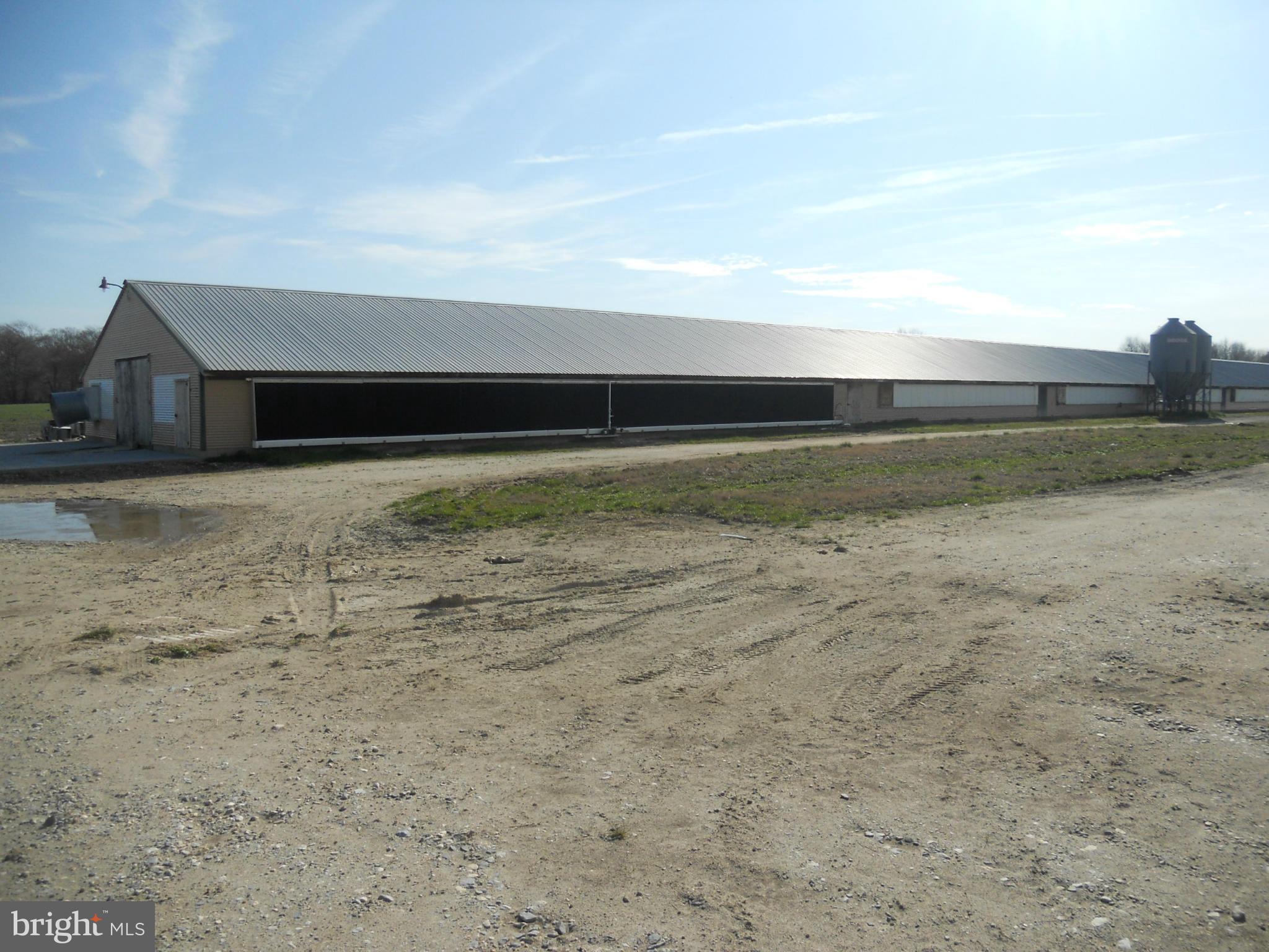 4115 Bestpitch Ferry Road Cambridge, MD 21613 - Photo 3 of 7 Exterior (General)