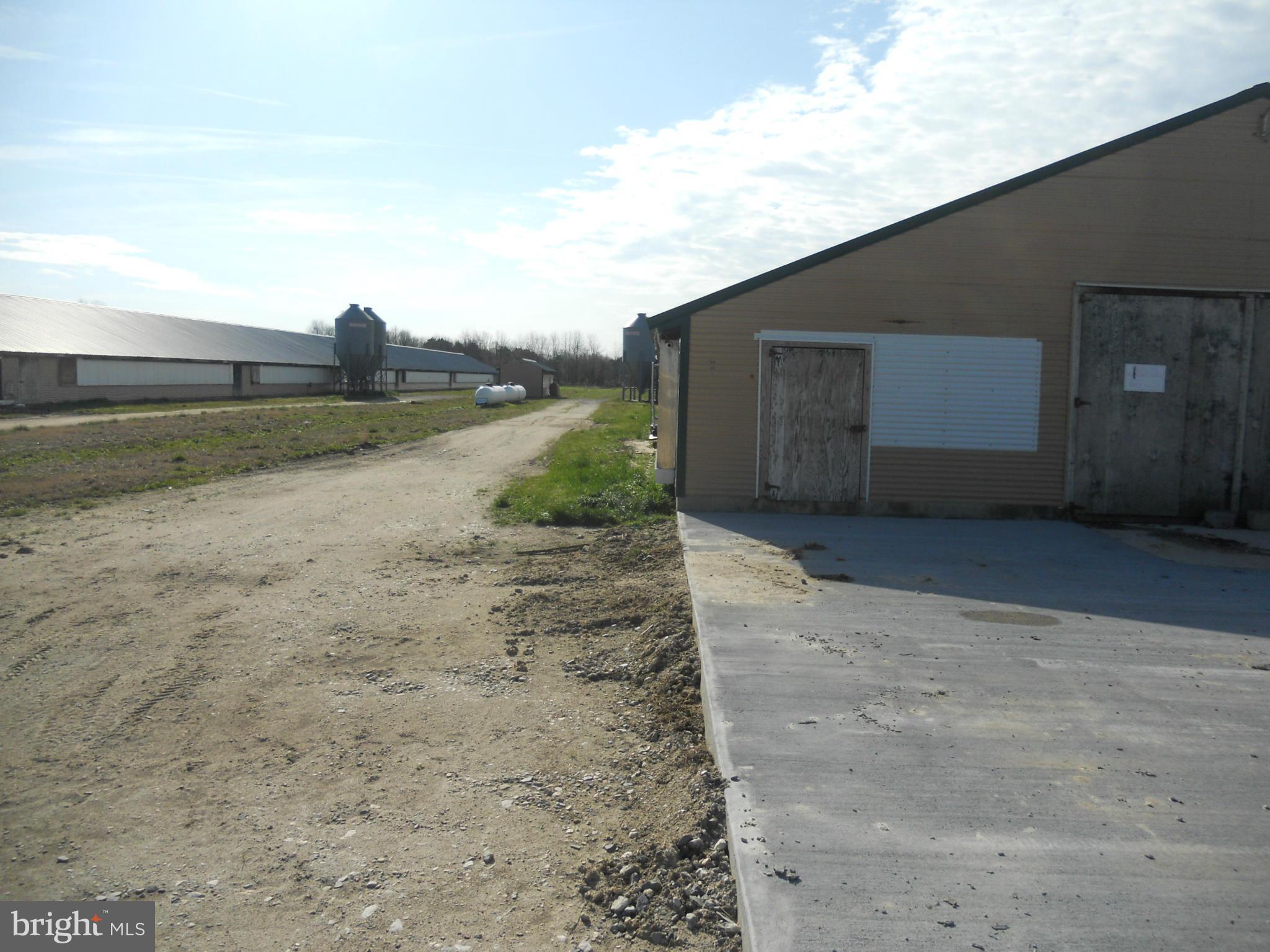 4115 Bestpitch Ferry Road Cambridge, MD 21613 - Photo 4 of 7 Exterior (General)