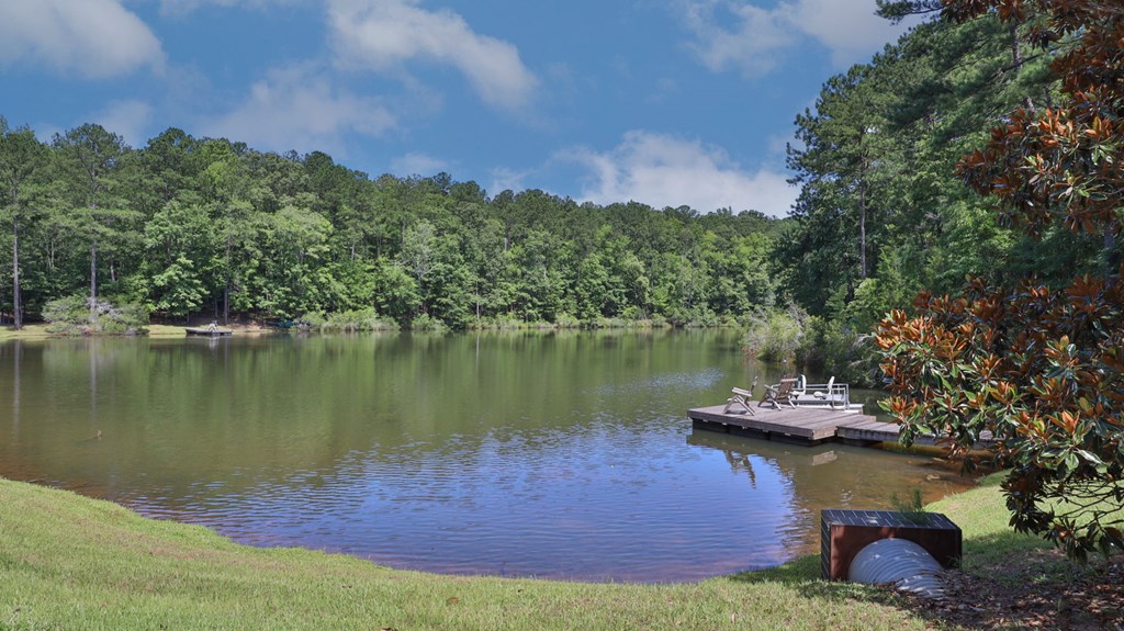 341 Grantham Road Hamilton, GA 31811 - Photo 46 of 69 17 year old Stocked lake