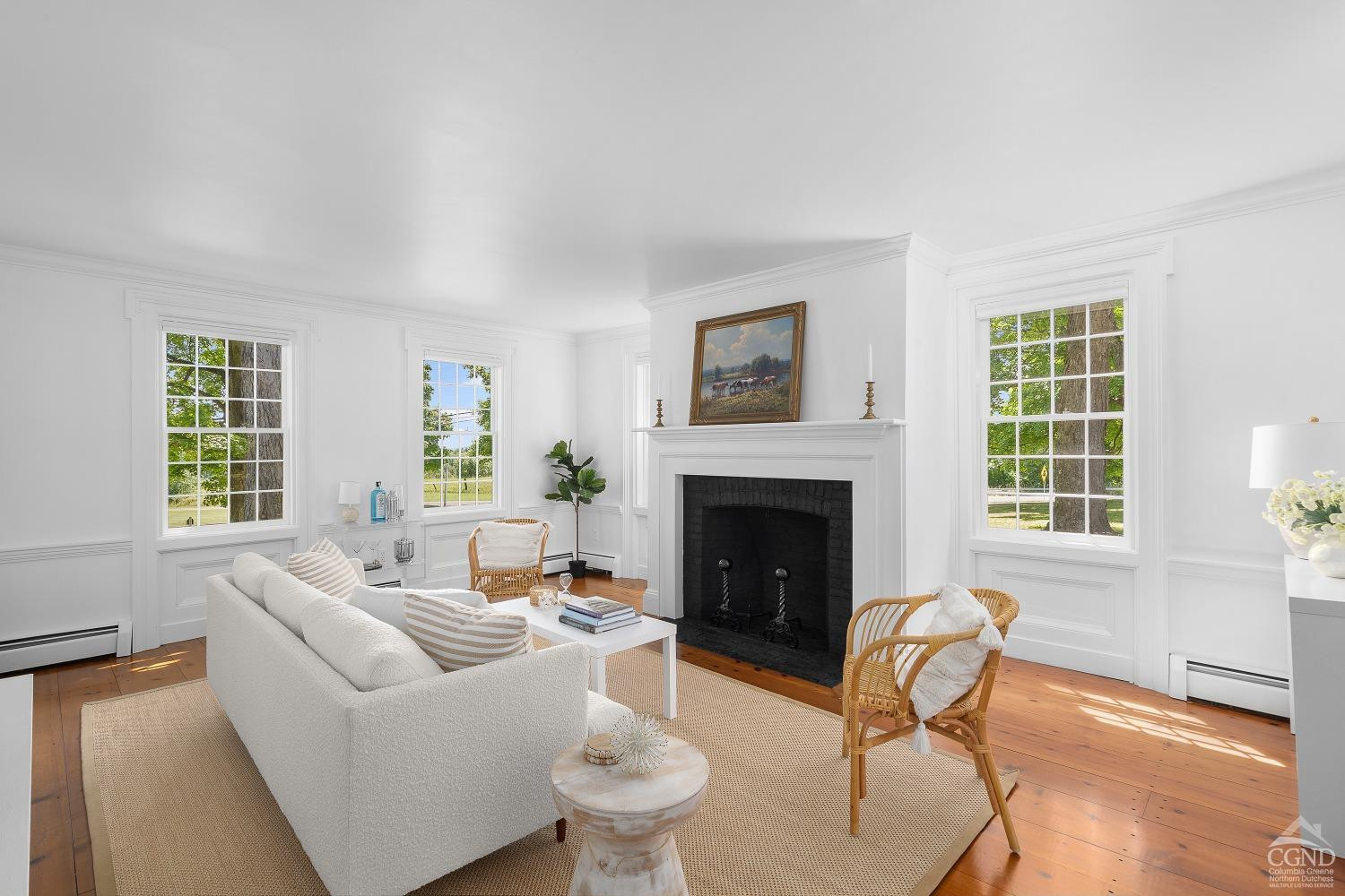 7 Thomas Road Chatham, NY 12184 - Photo 5 of 25 a living room with furniture and a fireplace