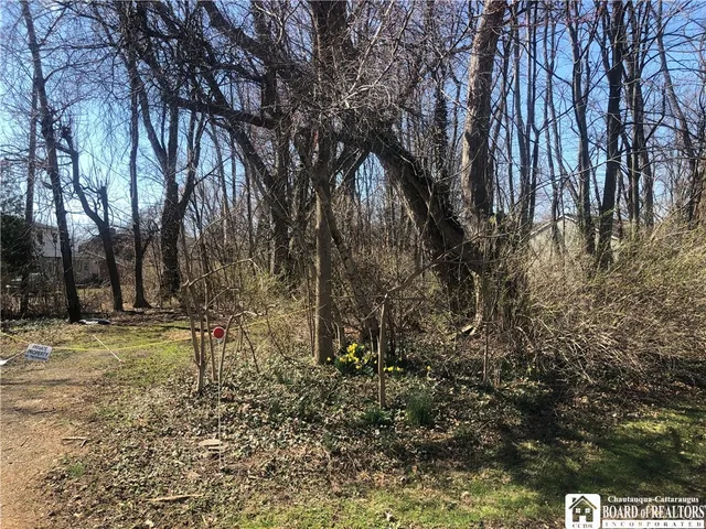 $12,900 | 0 Middlesex Drive, Pomfret, NY 14063