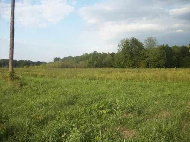 300 East County Line Road Coal City, IN 47427 - Photo 2 of 6 Gallery Image 2
