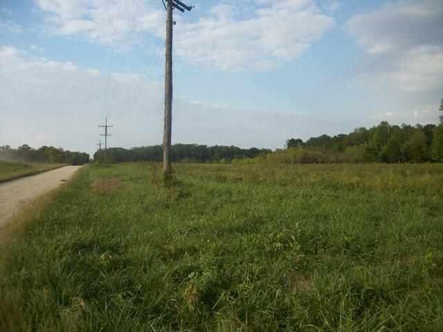 300 East County Line Road Coal City, IN 47427 - Photo 6 of 6 Gallery Image 6
