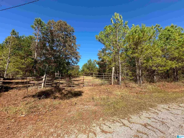 $95,000 | 0 County Road 483, Vincent, AL 35178