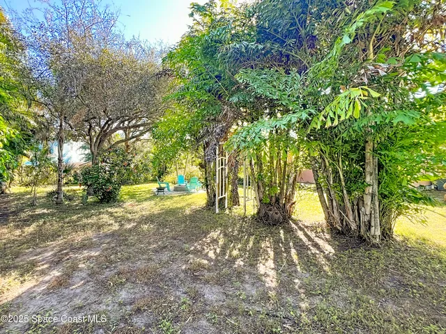 a backyard of a house with table and chairs potted plants and a large tree