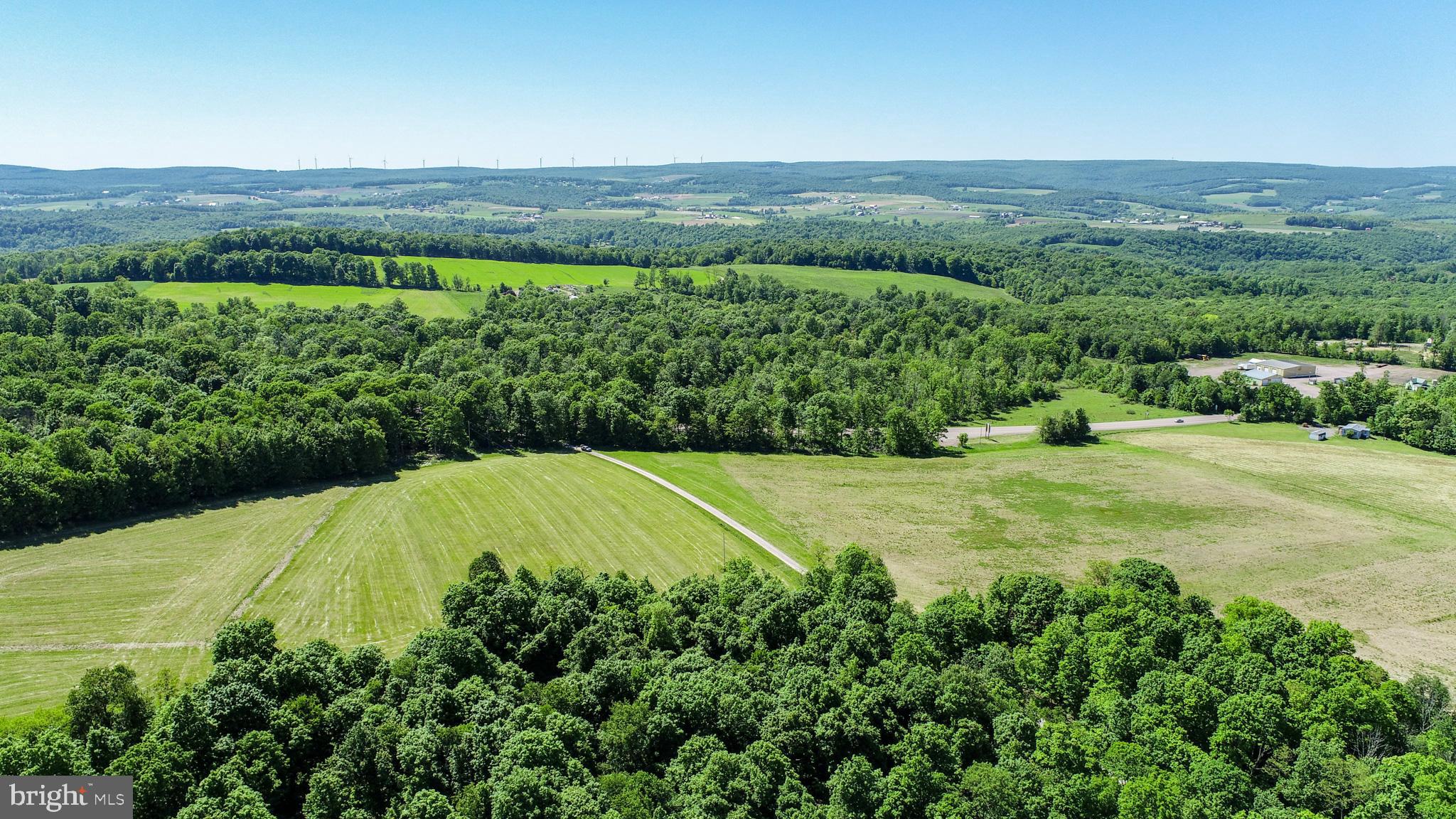 5-acres Chestnut Ridge Road Grantsville, MD 21536 - Photo 5 of 16