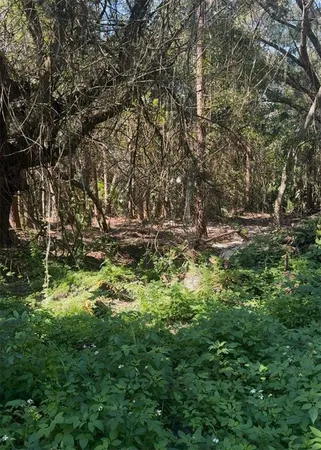 $40,000 | Cr-138, Branford, FL 32008