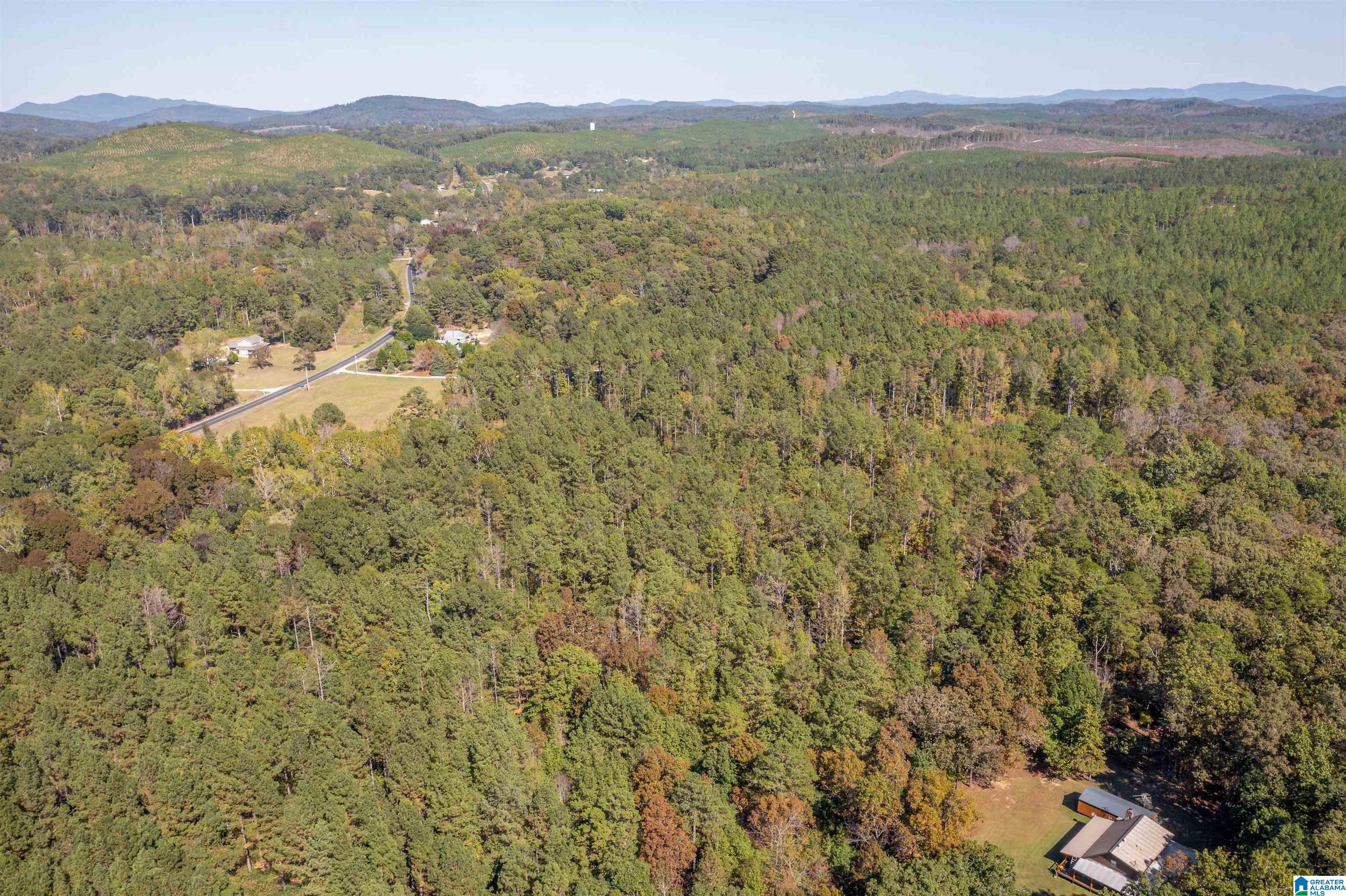 0 Roy Webb Road Jacksonville, AL 36265 - Photo 10 of 15