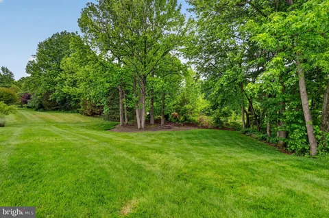 a view of a grassy field with trees in the background