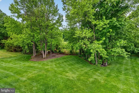 a view of a backyard with a garden