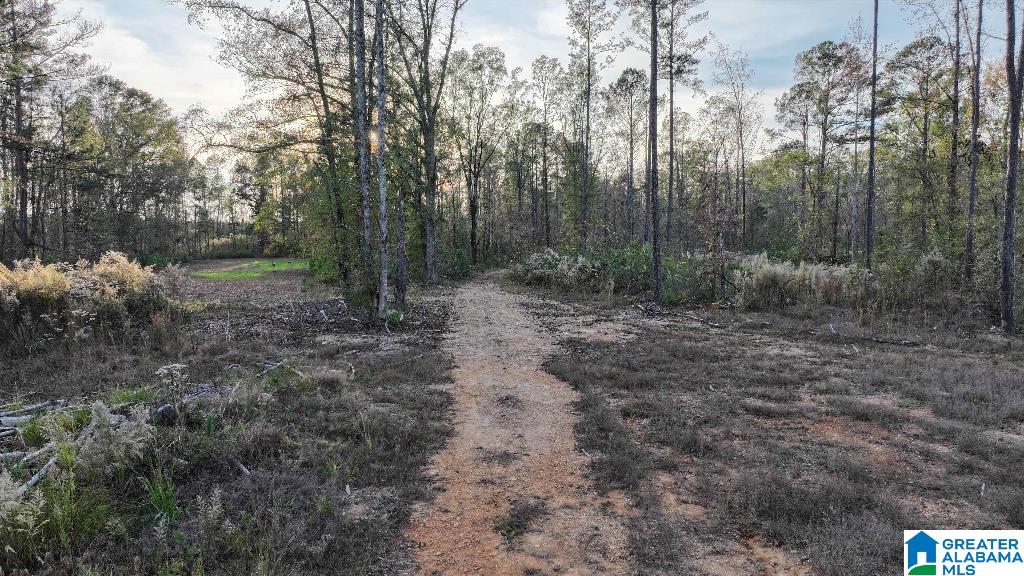 200 Kelly Creek Road Odenville, AL 35120 - Photo 3 of 47