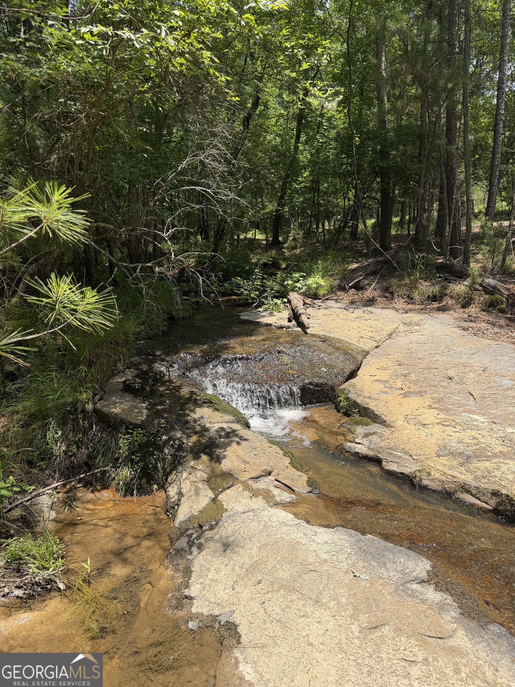 0 Pleasant Valley Road Thomaston, GA 30286 - Photo 9 of 20