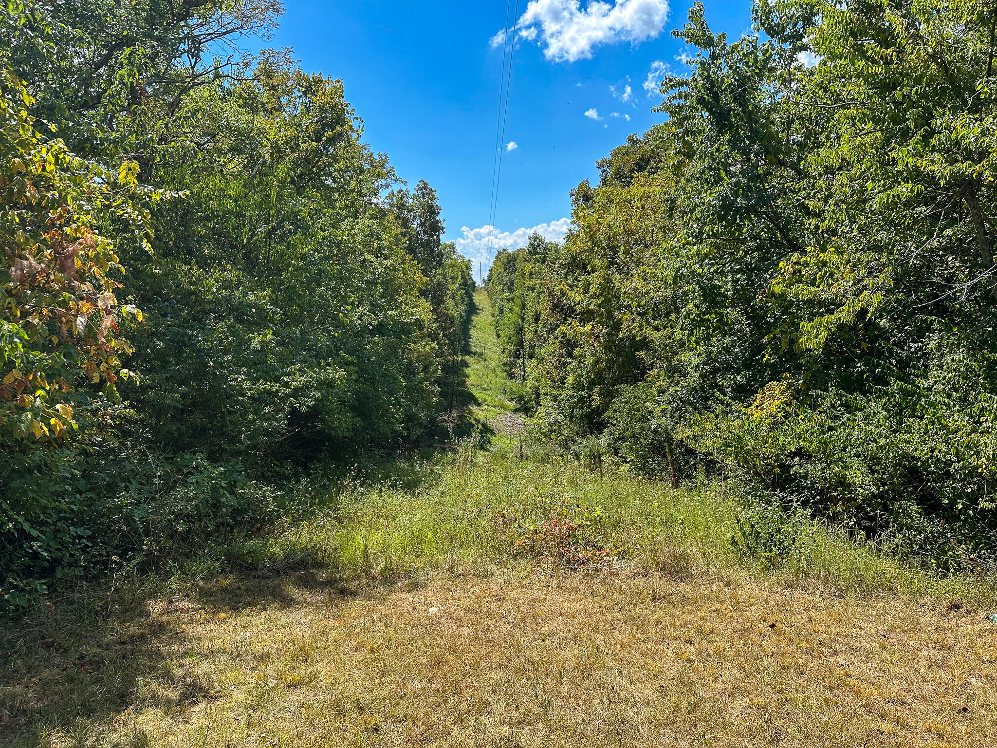 1965 Breck Road Owenton, KY 40359 - Photo 27 of 45 Maggard_Owen27