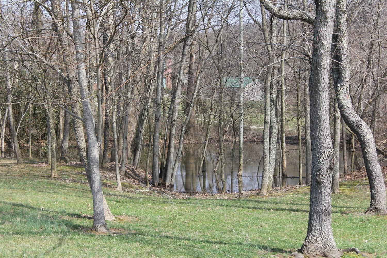 2955 Shadrick Ferry Road Frankfort, KY 40601 - Photo 49 of 49 Closer image of pond in front of house.