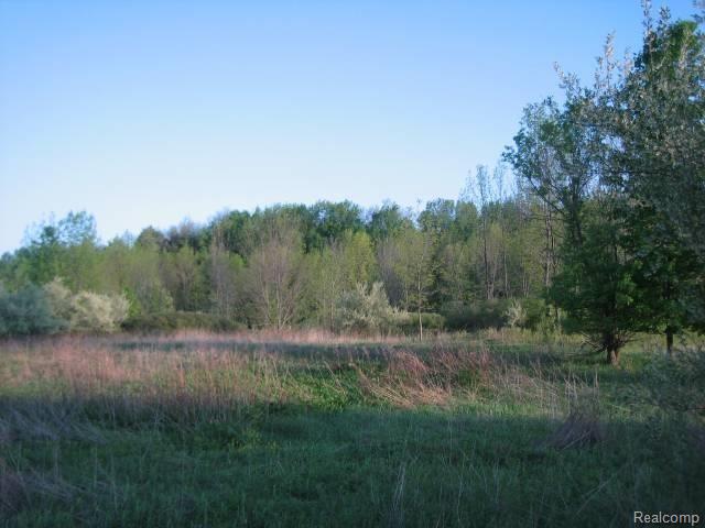 Par D Lum Road Attica, MI 48412 - Photo 3 of 7 Lum Rd #3