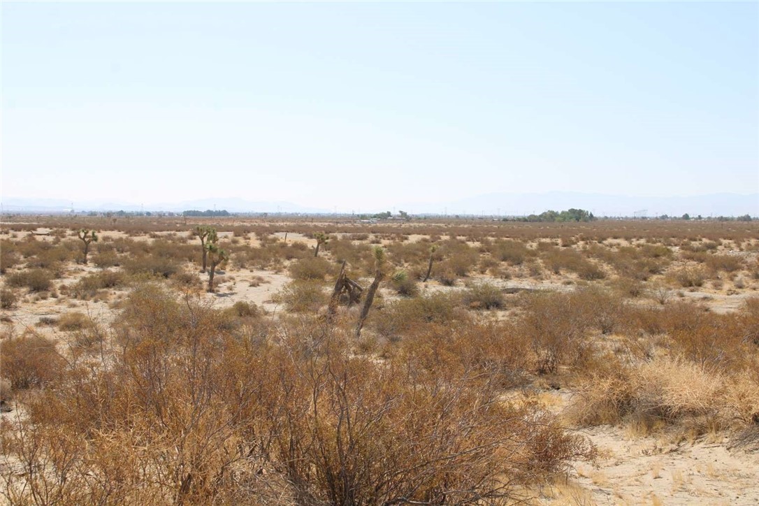 18 Sky Ranch Road Adelanto, CA 92301 - Photo 13 of 16