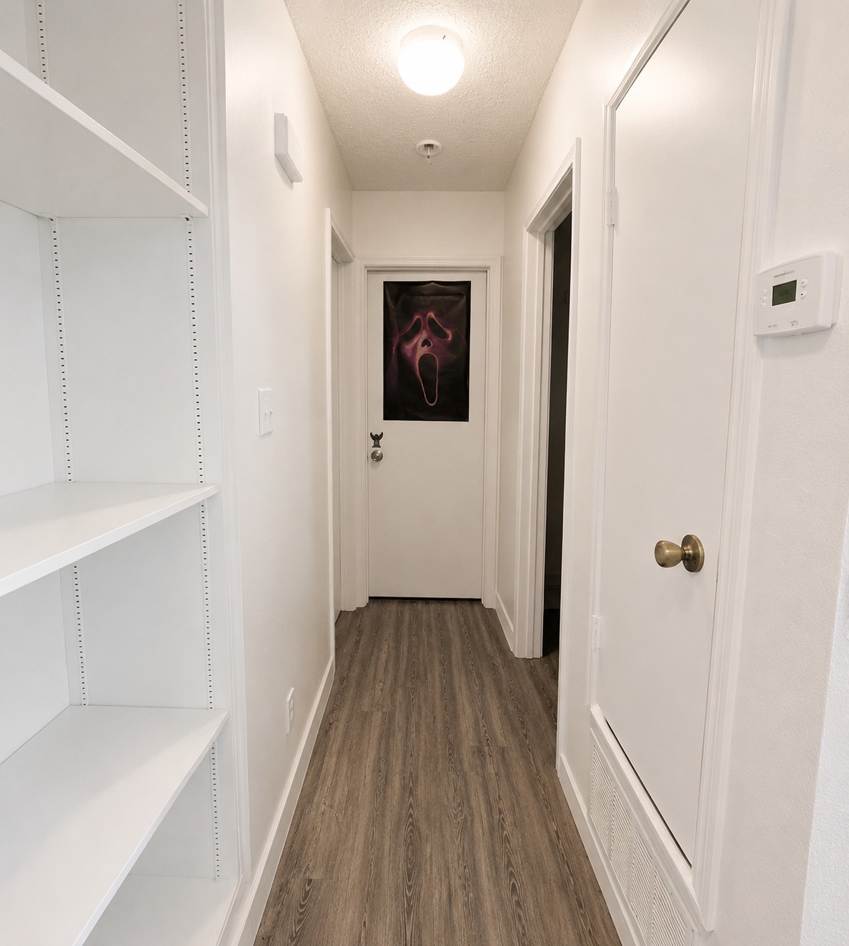 2013 Margalene Way Austin, TX 78728 - Photo 8 of 19 A well-lit corridor with light wood-tone flooring offers practical built-in shelving.