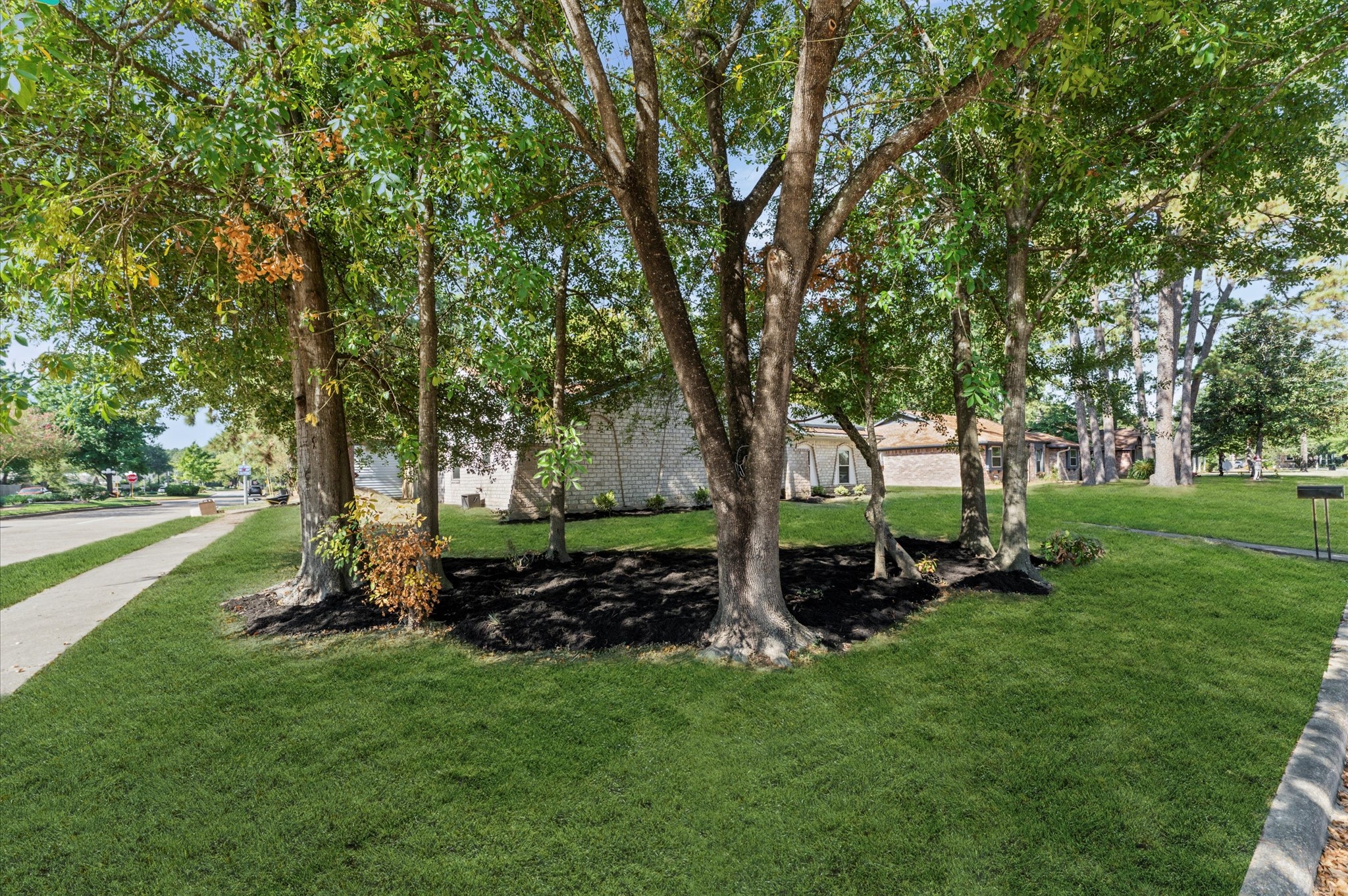 25503 Foxbriar Lane Spring, TX 77373 - Photo 3 of 33