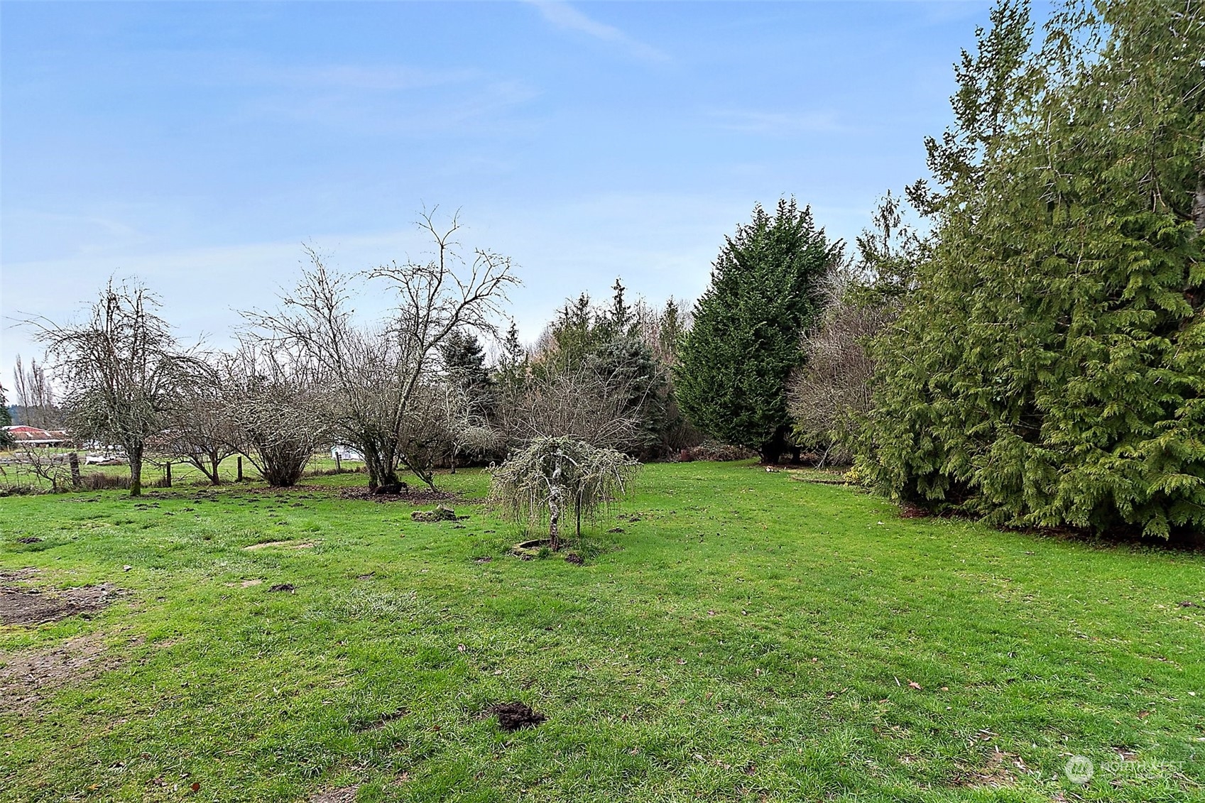 10930 Olalla Valley Road Southeast Olalla, WA 98359 - Photo 20 of 32 Gallery Image 20