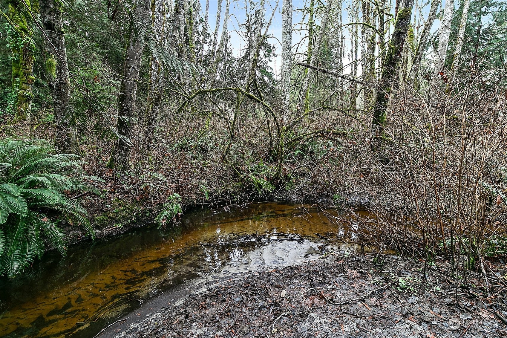 10930 Olalla Valley Road Southeast Olalla, WA 98359 - Photo 24 of 32 Gallery Image 24