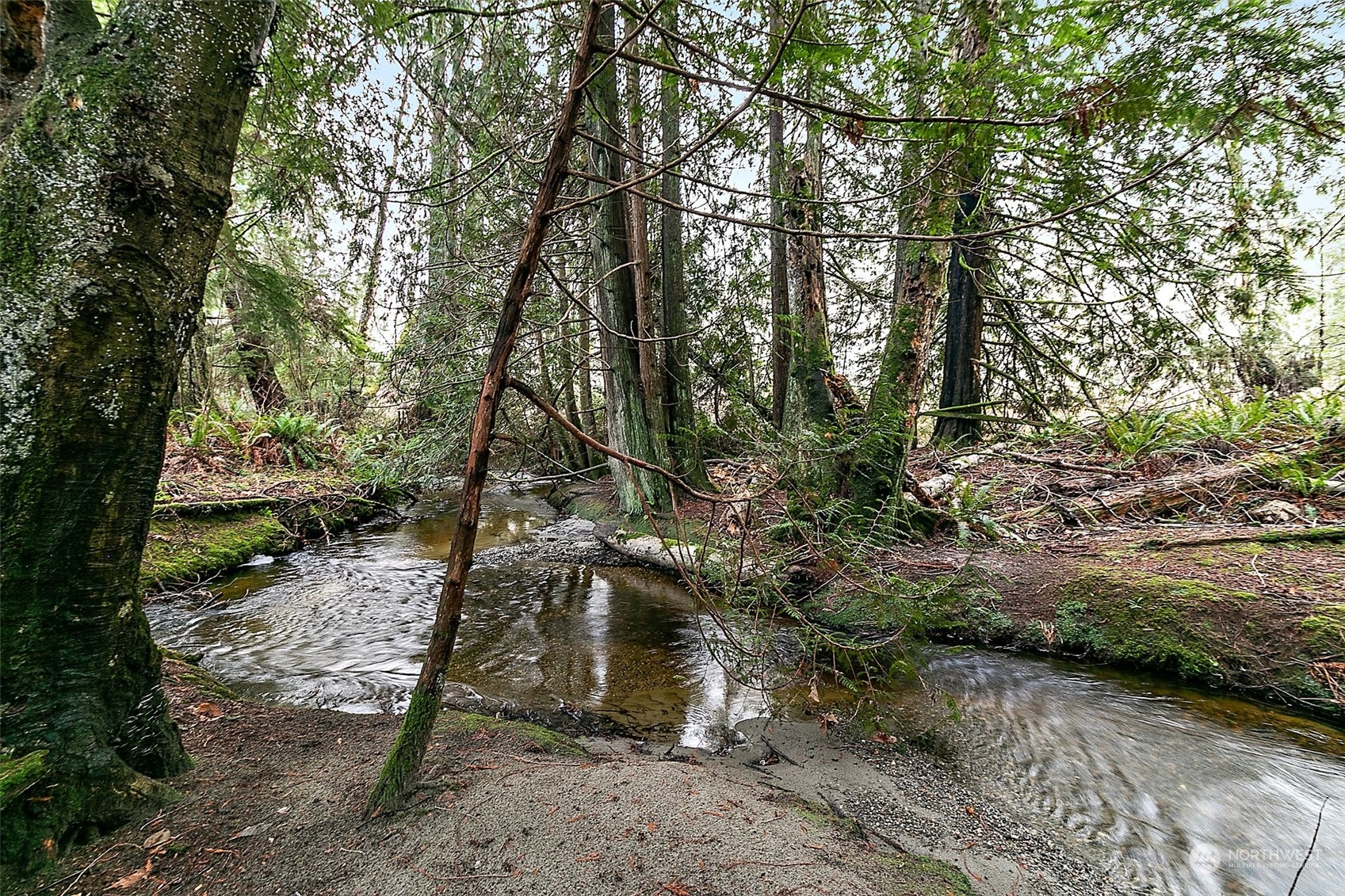 10930 Olalla Valley Road Southeast Olalla, WA 98359 - Photo 25 of 32 Gallery Image 25
