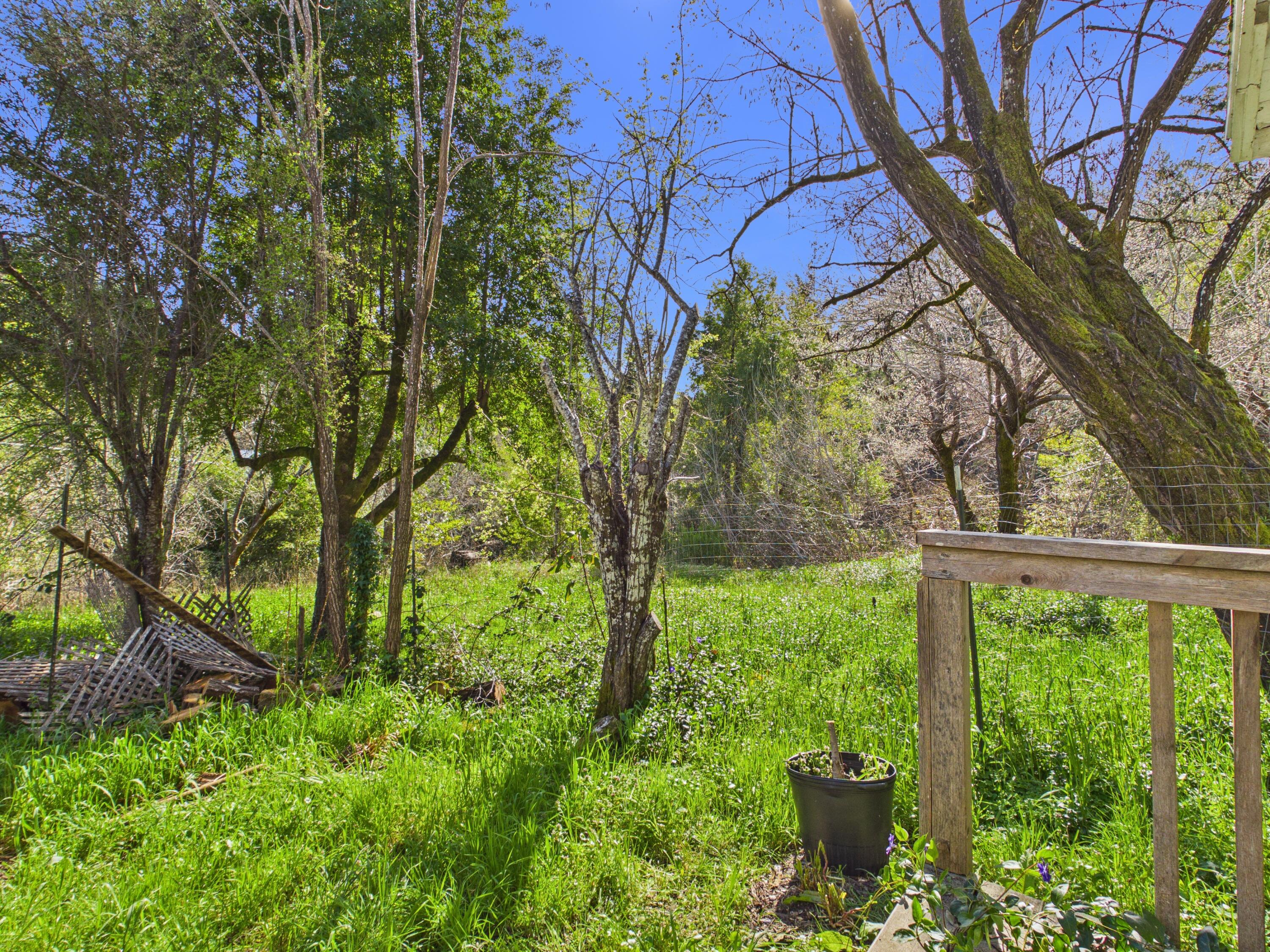 5350 Briceland Road Redway, CA 95560 - Photo 30 of 44