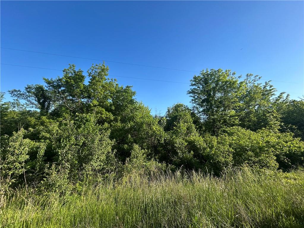 0 East 1825 Terrace Lacygne, KS 66040 - Photo 8 of 10