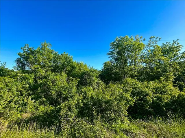 $49,999 | 0 East 1825 Terrace, Lacygne, KS 66040