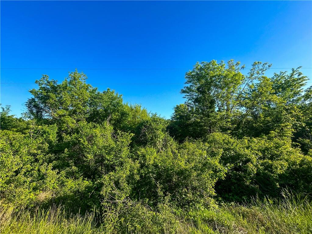 0 East 1825 Terrace Lacygne, KS 66040 - Photo 9 of 10