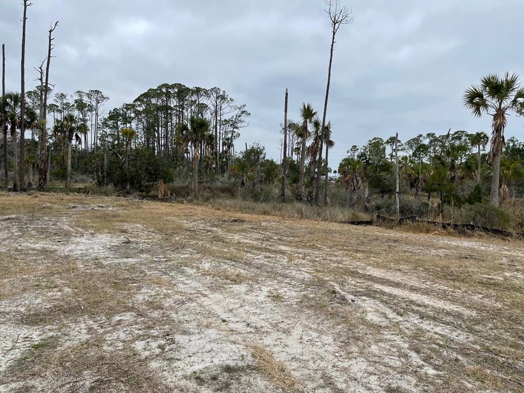 1 Easy Street Port St. Joe, FL 32456 - Photo 11 of 13