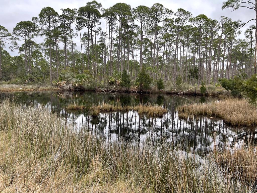 1 Easy Street Port St. Joe, FL 32456 - Photo 5 of 13