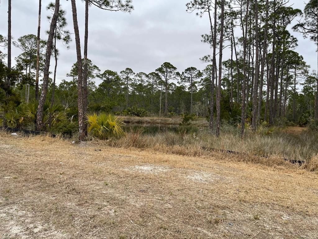 1 Easy Street Port St. Joe, FL 32456 - Photo 6 of 13