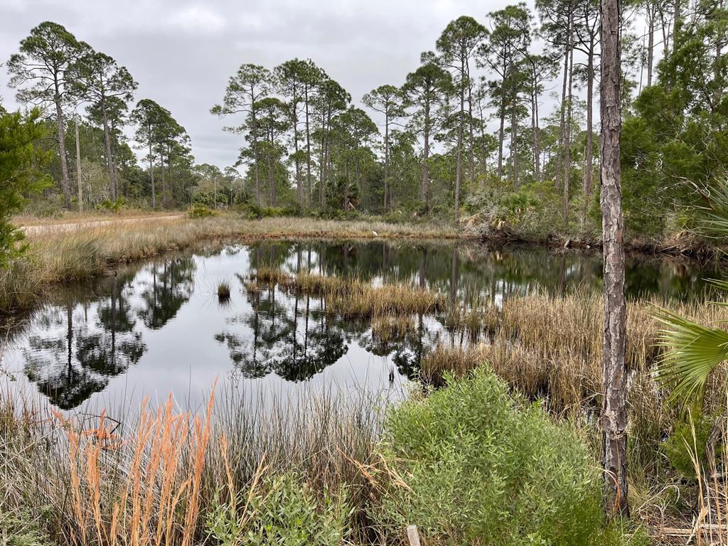 1 Easy Street Port St. Joe, FL 32456 - Photo 7 of 13
