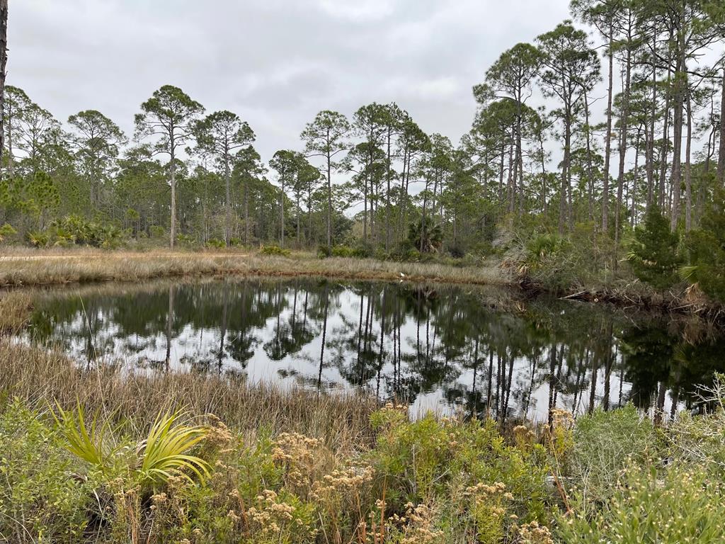 1 Easy Street Port St. Joe, FL 32456 - Photo 8 of 13