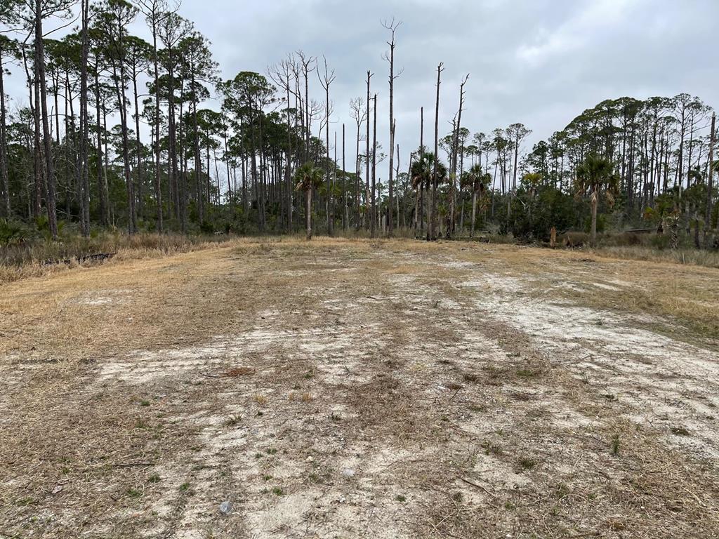 1 Easy Street Port St. Joe, FL 32456 - Photo 9 of 13