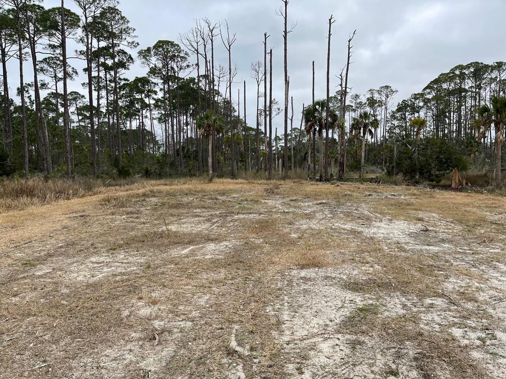 1 Easy Street Port St. Joe, FL 32456 - Photo 10 of 13