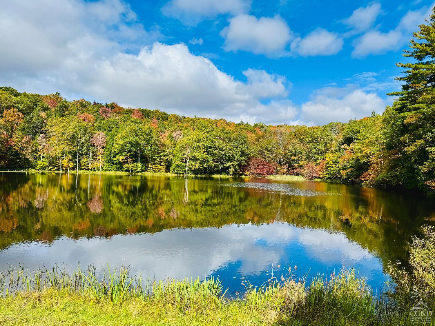 a view of a lake
