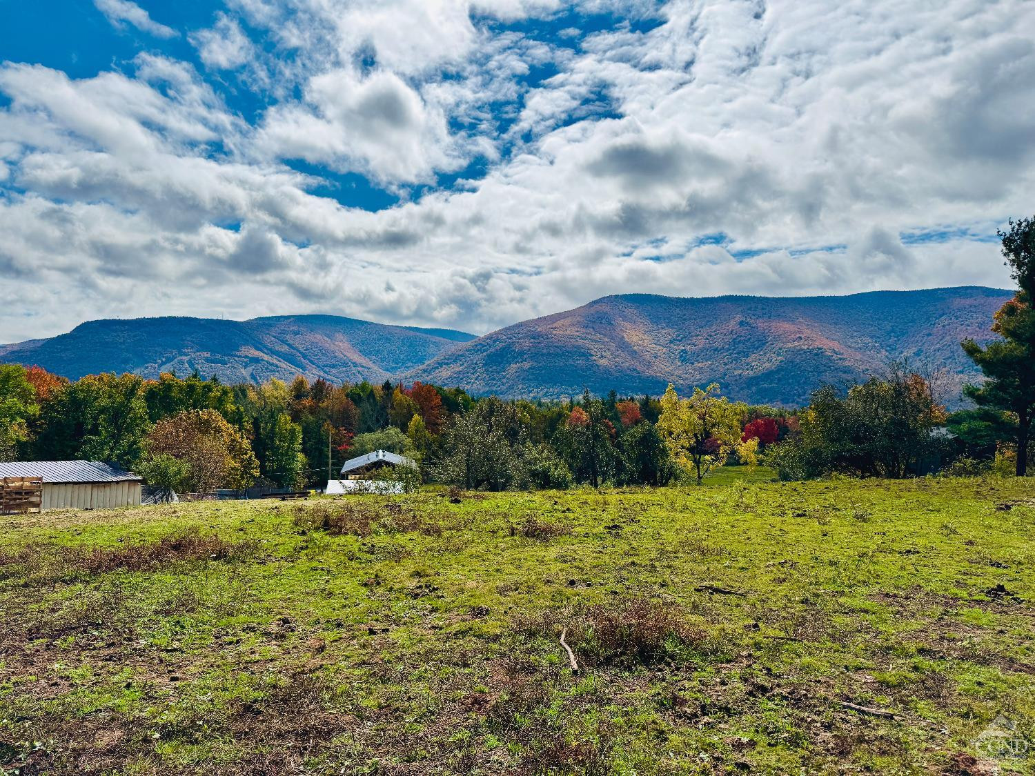 369 Ford Hill Road Hunter, NY 12442 - Photo 2 of 31 a view of lake with mountain