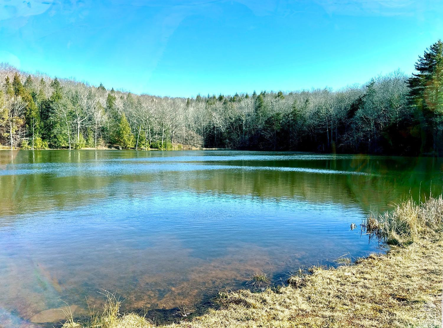 369 Ford Hill Road Hunter, NY 12442 - Photo 23 of 31 a view of a lake with a yard