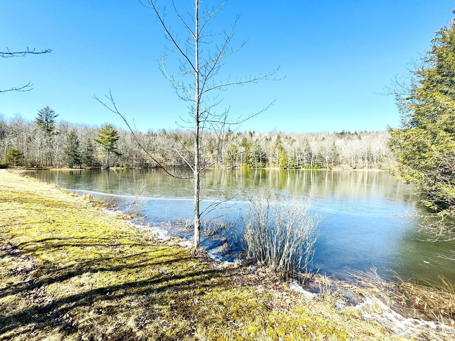 369 Ford Hill Road Hunter, NY 12442 - Photo 24 of 31 a view of a lake view