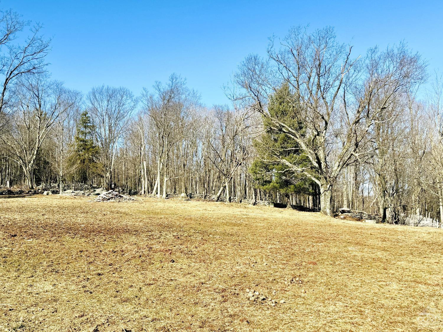 369 Ford Hill Road Hunter, NY 12442 - Photo 26 of 31 a view of large space with trees in the background