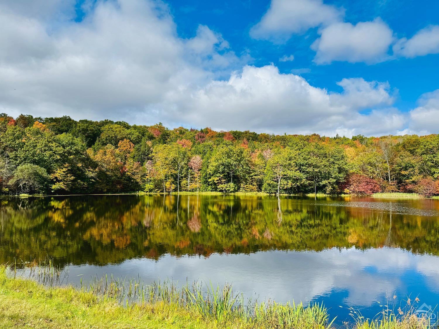 369 Ford Hill Road Hunter, NY 12442 - Photo 3 of 31 a view of a lake