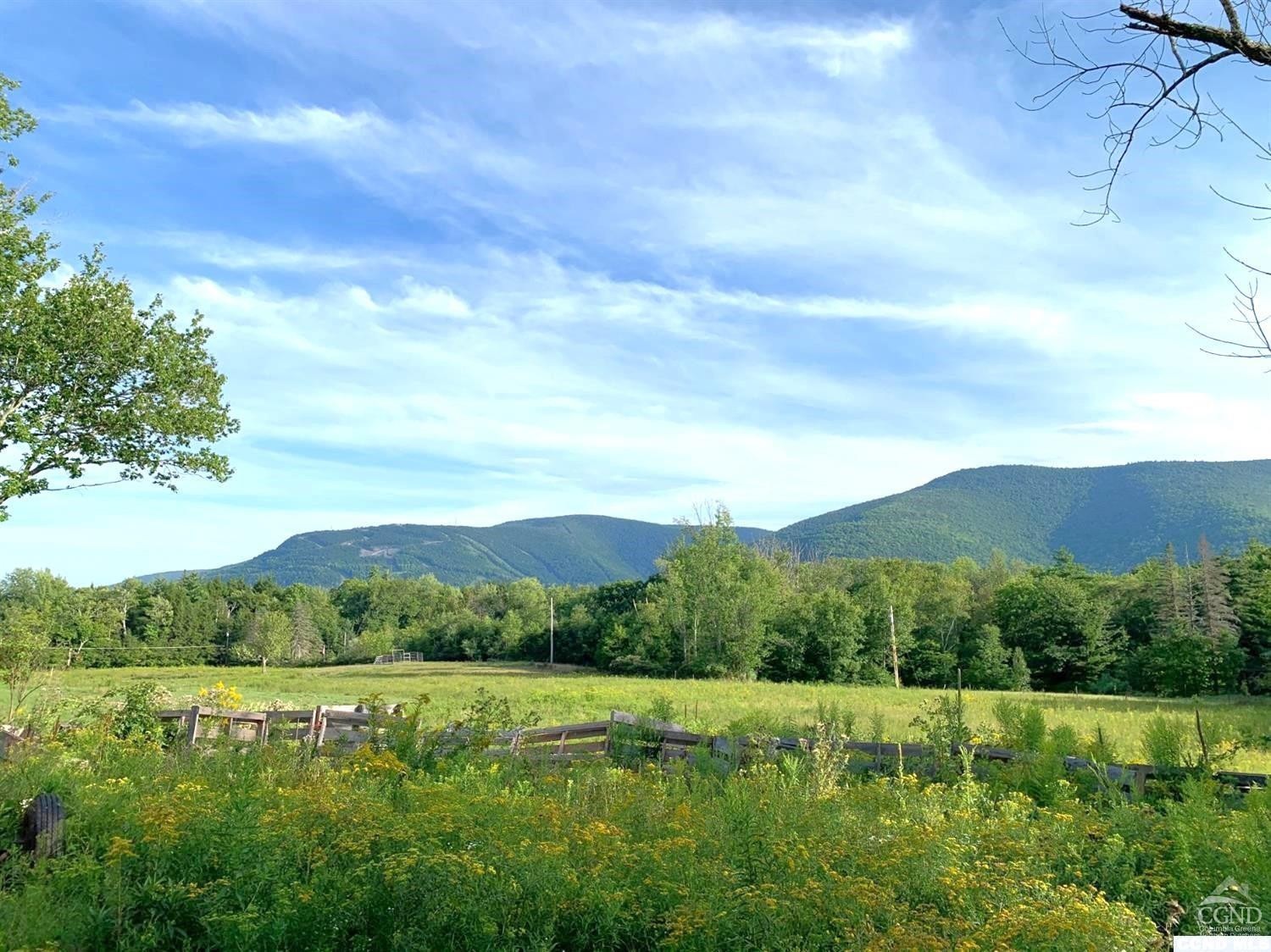 369 Ford Hill Road Hunter, NY 12442 - Photo 9 of 31 a view of an outdoor space with mountain view