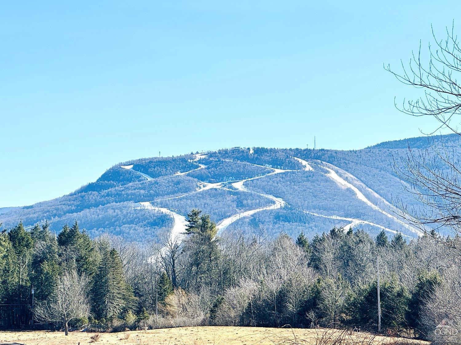 369 Ford Hill Road Hunter, NY 12442 - Photo 10 of 31 a view of outdoor space and mountain view